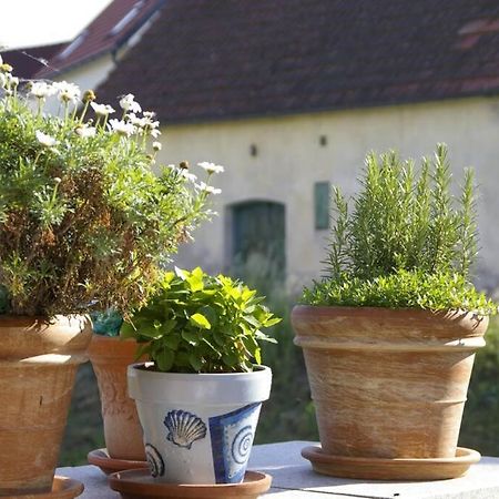 Ferienwohnung Sachsenberg Keine Monteure Hadersdorf am Kamp Bagian luar foto